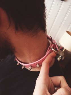 camdamage: *got my lil cutie a new collar* 