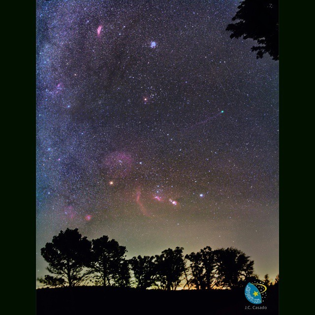 Comet Lovejoy in a Winter Sky #nasa #apod #comet #lovejoy #orion #orionsbelt #orionnebula