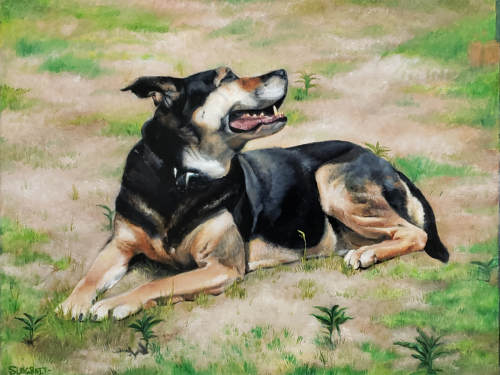 painted my mom&rsquo;s favourite dog she&rsquo;s had for her christmas present oil on canvas, 16&quo