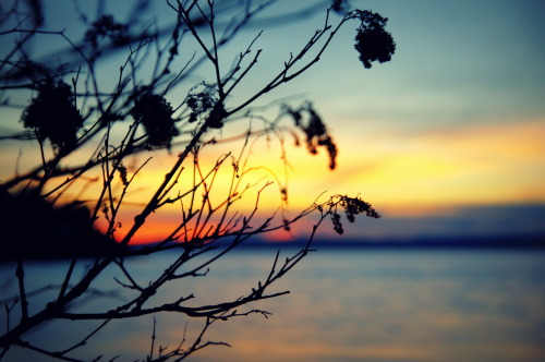 simonthollotphotography:The Olympic Mountains & The Puget Sound, seen from SeattleSeattle, WA, USA - 2013