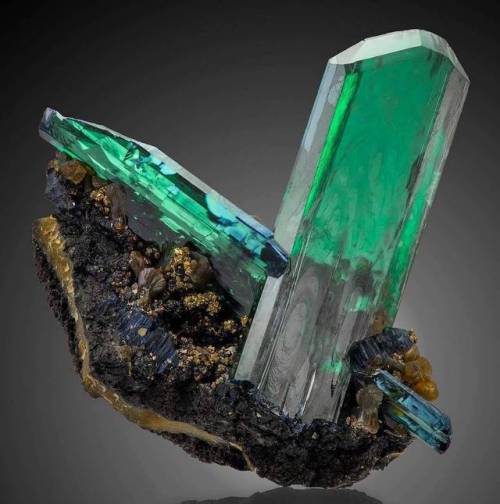 geologyin-blog: Stunning Vivianite with Siderite and Pyrite from Huanuni mine, Bolivia. Photo: L&aac