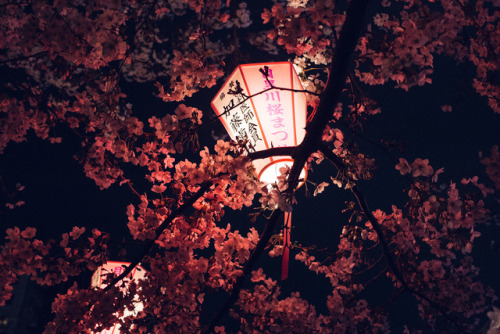 lanterns