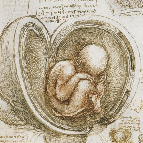 detailedart:Details of studies by Leonardo da Vinci