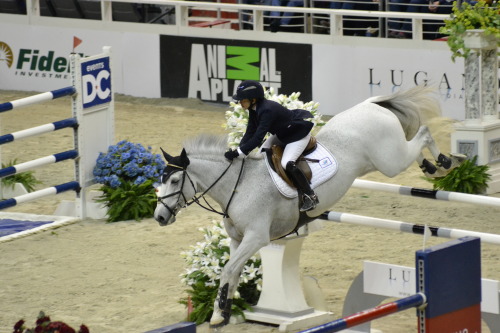 WIHS 2014 &copy; Ranglo