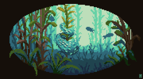 1080. Kelp Forest