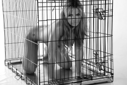 ourdarkpleasures:  I have this cage at home.