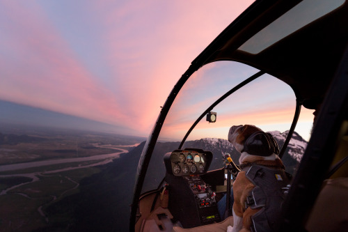 Exploring the skies with Mr. Bentley the Dog + his master and pilot, Bradley Friesen. See more photo