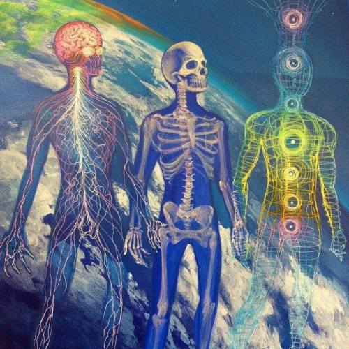 Lysergic Acid