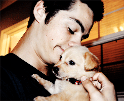 thisuserdoesntexistanymore20 - Dylan O'Brien + puppies
