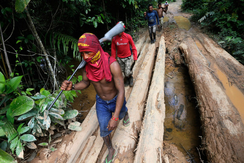 america-wakiewakie:  Amazon Indian Warriors Beat and Strip Illegal Loggers in Battle for Jungle’s Future | Warrior Publications   A group of warriors from Brazil’s indigenous Ka’apor tribe tracked down illegal loggers in the Amazon, tied them up,