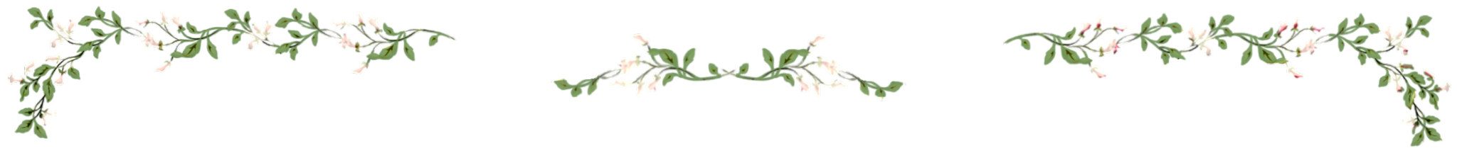 009 - divider by @uzmacchiato on tumblr