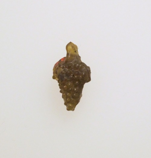 met-greekroman-art:Glass pendant in the form of a bunch of grapes, Greek and Roman ArtMedium: GlassG