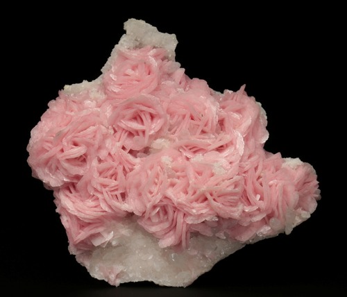 bijoux-et-mineraux: Rhodochrosite on Quartz - Cavnic, Maramures Co, Romania