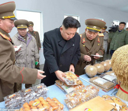 New Post has been published on http://bonafidepanda.com/kim-jong-un-loves-cheese-sends-team-france-learn/Kim