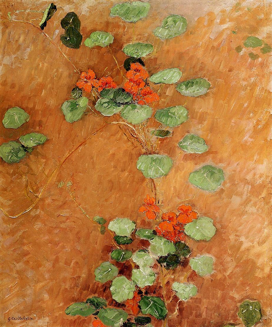 geritsel:  Gustave Caillebotte - nasturtiums 