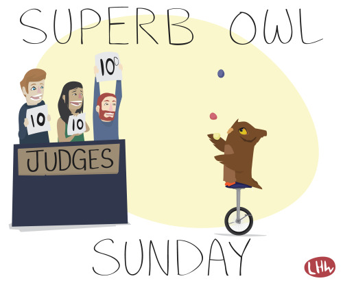 Superb Owl Sunday 2.3.2014