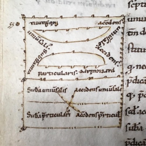 Boethian diagram from @therosenbach MS 484/16 #boethius #porphyry #isagoge currently being digitised