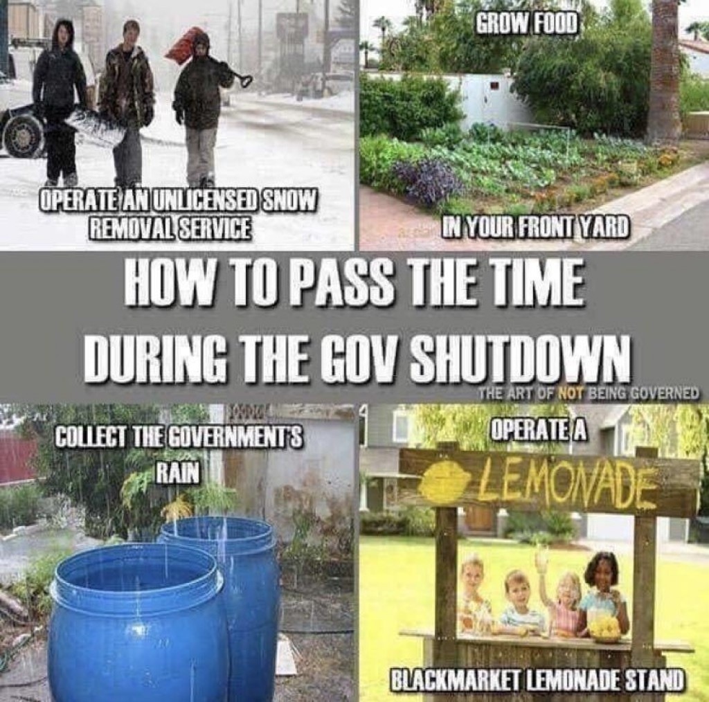 chaosnewsinc:  How to pass time during the government shutdown 2019