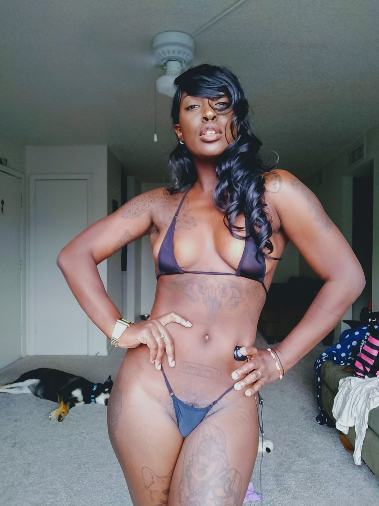 deebott: Black.