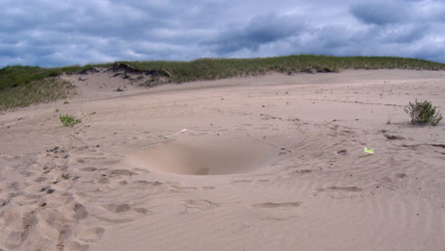 mothernaturenetwork:  Mysterious ‘man-eating’ holes appear in sand duneA number