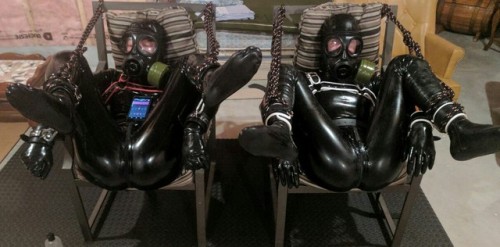 rubbertopboys:Puppies Busy last night. What’s that a Hush Pug in both……..Maybe……🐕🤐🔐🔗 ❤ PupZen &  Pup Kiba❤