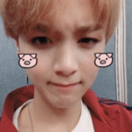 catsie:bee’s so pretty ^_^