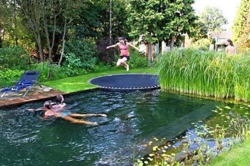 toxic-vermillion: waywardequestrian:  fromageinterrupted:  richsweettree:  sixpenceee:  Natural swimming pools are made of aquatic plants and naturally occurring bacteria that not only filter the water, they also contribute to the landscaping. (Source)