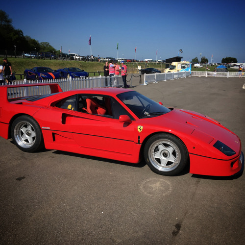 Ferrari F40 #ferrari #classiccars #modernclassic #ferrarif40