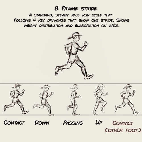 stringbing:  animation run cycle notes for my upcoming 2D animation video course