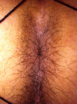 hairywives:  