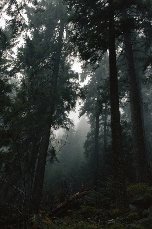 umq:Untitled by (Robert Kaczynski)