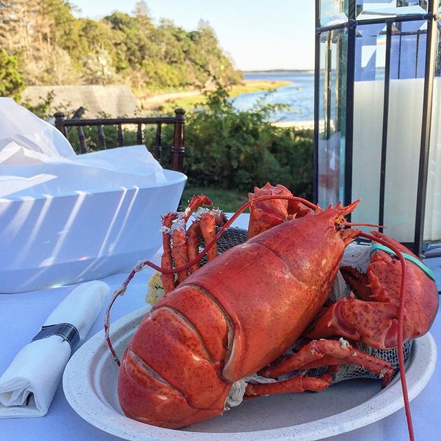 bestofcapecod:  Believe it or not, I had actually never eaten a whole lobster up