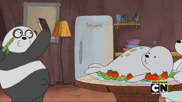 webarebearsgifs:  The bear brothers are introduced to their new diet.