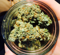 a-high-ass-ginger:  Oz. of Berry White. This