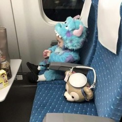 cute-overload:  There’s a Monster on the flighthttp://cute-overload.tumblr.com source: http://imgur.com/r/aww/v4MIGUN