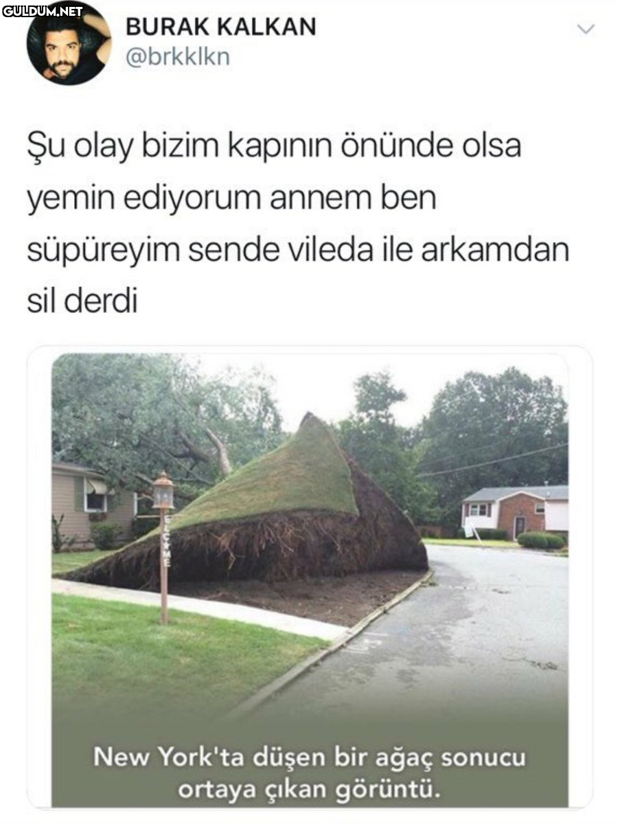 Nizami çim...