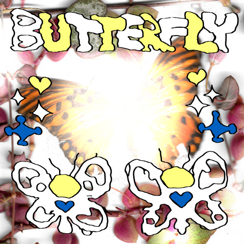5outho:butterfly