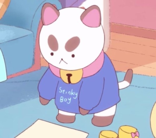 Puppycats Entire Existence Is So Funny When You Really Think About It Because Like Thats Literally A