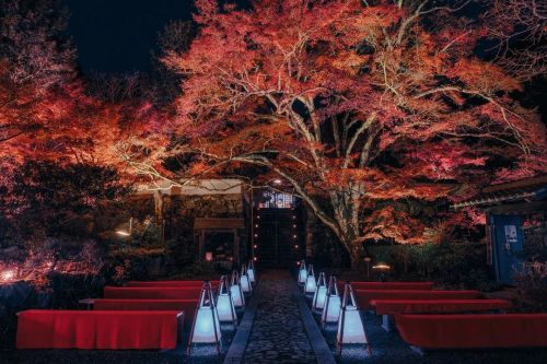 400-Year-Old神藏寺、樹齢400年の大センパイ。紅葉の盛りはすこし過ぎていたものの堂々たる姿は健在でした！ #亀岡 #神藏寺 #XT3 #XF1655https://www.instagra