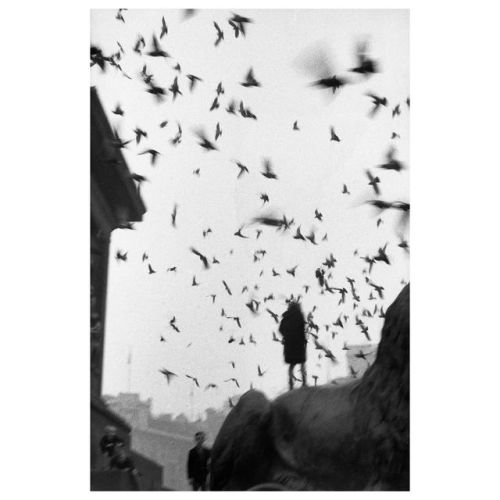  Trafalgar Square. London, England. 1958-1959. By Sergio Larrain.