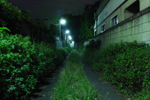 Guen-k (Japanese, b. Shizuoka, Japan, based Kitakyushu, Fukuoka, Japan) - Photography