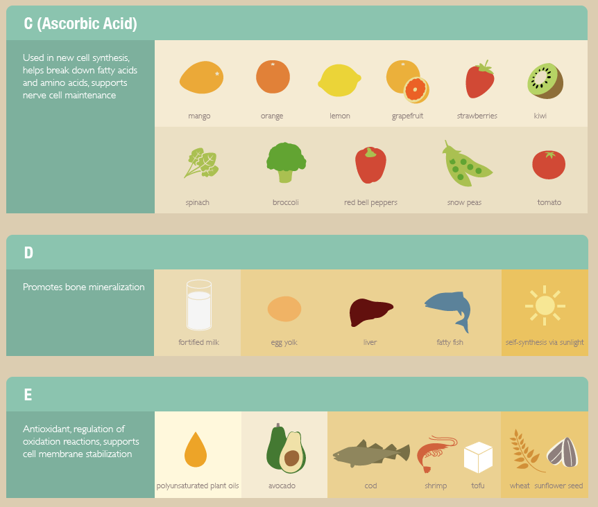 the-more-u-know:  Every nutritious food contains vitamins, but certain foods are