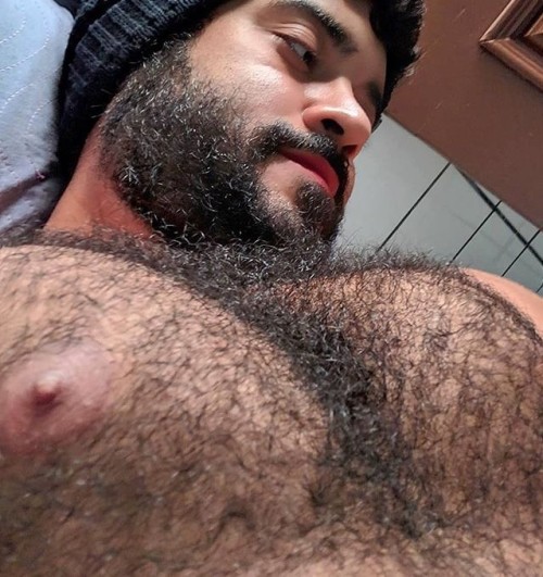 adammitchlove: These guys have the hairiest chests in the world. They are like hairy jungles. Which 