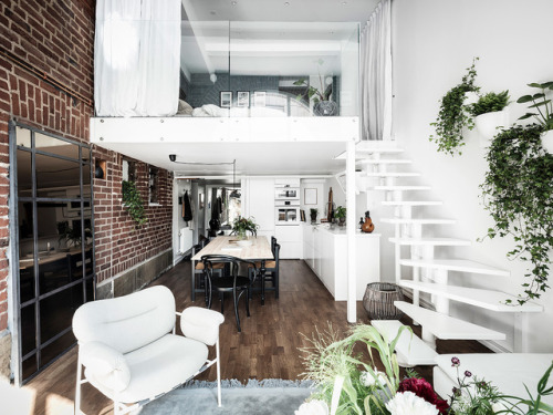 gravityhome:  Scandinavian loft apartmentFollow adult photos