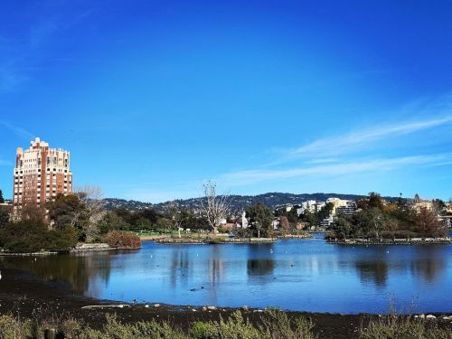 Oakland, Lake Merritt. We walked so much!!!