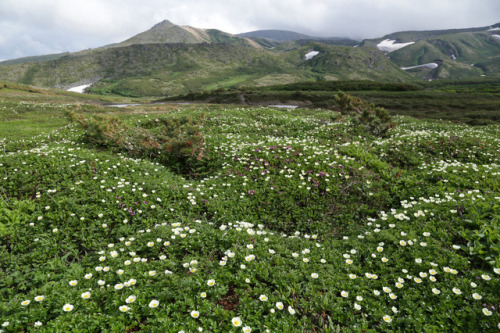 90377: Sosuai Plateau and Mt. Toma 裾合平と当麻岳 by Peter Skov