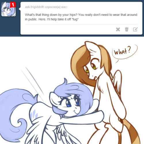 XD Wut