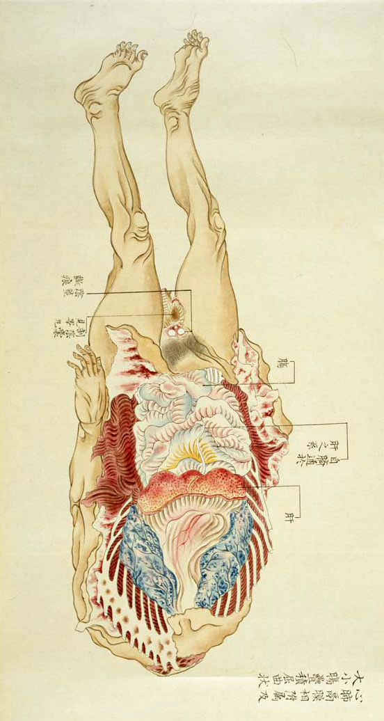 meowknits:
“ Decaying Corpse study by Yoshimura Lanzhou, Edo era.
Found here.
”