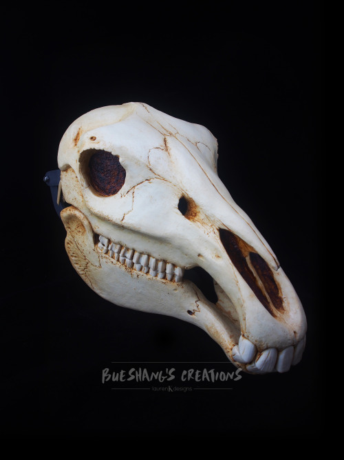 My newest mask is finally done! Meet the majestic horse skull, perfect for all you Mari Lwyd needs.T