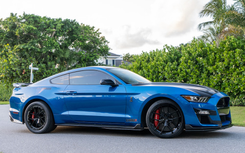 1200+whp made easy. Palm Beach Dyno is performing tuning magic on their CX1100R Ford Mustang Shelby 